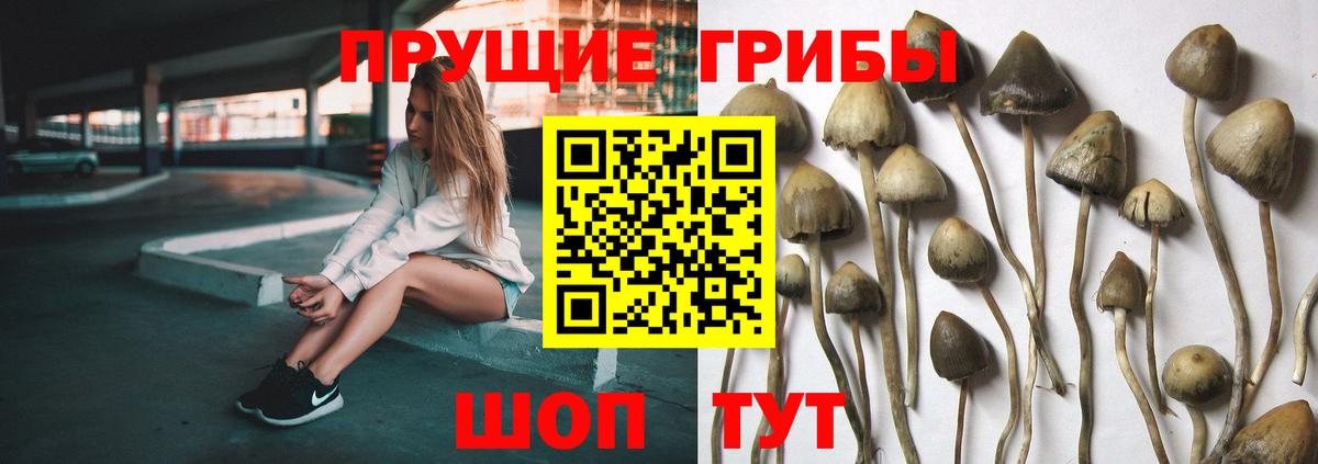Псилоцибиновые грибы MAGIC MUSHROOMS Корсаков