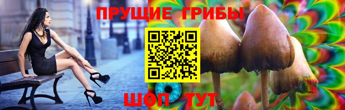 Галлюциногенные грибы MAGIC MUSHROOMS  Галлюциногенные грибы GOLDEN TEACHER  Вход с VPN  Корсаков 
